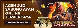 Sabung Ayam Wiki Slot Login